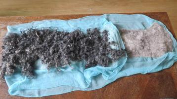 Sjaal, gevilte Gotland wol, Blauwe Texelaar rug 155x40cm beschikbaar voor biedingen