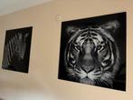 2 glasschilderijen tijger en zebra, Huis en Inrichting, Woonaccessoires | Schilderijen, Tekeningen en Foto's, Ophalen, Zo goed als nieuw