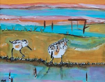Schilderij mooie strandlopers vogels kleurrijk acryl canvas