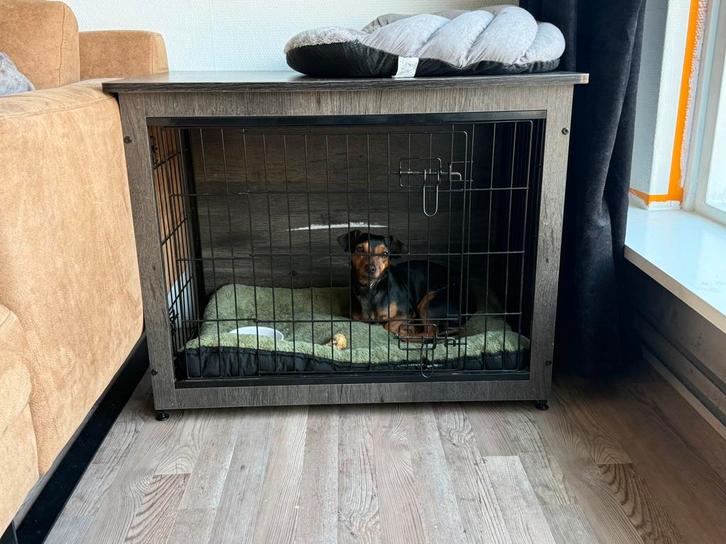 ZGAN: Honden bench, Dieren en Toebehoren, Hondenbenches, Zo goed als nieuw, Ophalen