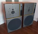 EAW RCF SCD-6000 Studio Monitor Luidsprekers, Zo goed als nieuw, 120 watt of meer, Front, Rear of Stereo speakers, Ophalen