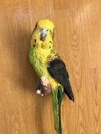 KUNSTSTOF PARKIET, Geslacht onbekend, Parkiet