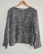 Vest Emanuelle grijs taupe wit gemeleerd, Ophalen of Verzenden, Gedragen, Maat 42/44 (L), Grijs