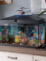Aquarium, Ophalen of Verzenden, Zo goed als nieuw