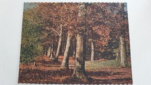 Antieke puzzel BRUNO PUZZLE Bosgezicht ▪︎ legpuzzel, Antiek en Kunst, Antiek | Speelgoed, Ophalen of Verzenden