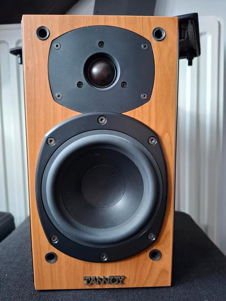 Tannoy Speakers - 2 stuks (paar), Audio, Tv en Foto, Luidsprekers, Zo goed als nieuw, Front, Rear of Stereo speakers, Overige merken