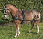 Ideal Ecoline pony tuig nieuw met BTW Korting, Dieren en Toebehoren, Verzenden, Nieuw, Overige soorten