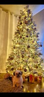 Kerstboom met sneeuw, Ophalen