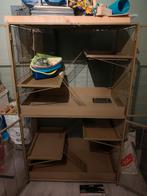 Rattenkooi en toebehoren, Dieren en Toebehoren, Knaagdieren en Konijnen | Hokken en Kooien, Ophalen