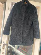 Zwarte Dames Winterjas - Maat 36/37, Kleding | Dames, Jassen | Zomer, Ophalen of Verzenden, Zo goed als nieuw, Maat 36 (S), Zwart