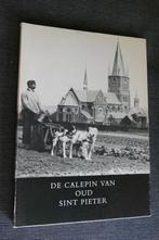 De Calepin van Oud Sint Pieter I en II, Ophalen of Verzenden, Gelezen