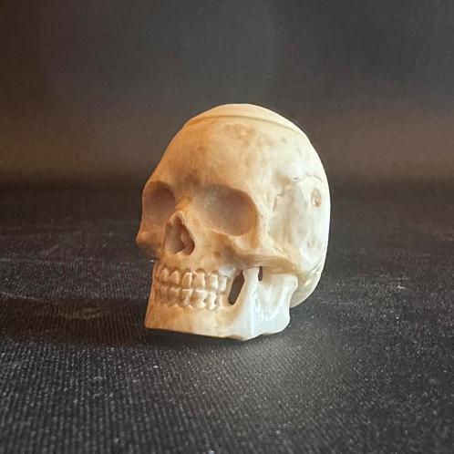 Miniatuur schedel  Vanitas / Memento Mori, ca. 1900, Antiek en Kunst, Curiosa en Brocante, Ophalen of Verzenden