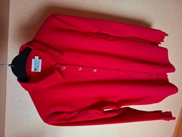 Bloese Helena Hart beschikbaar voor biedingen