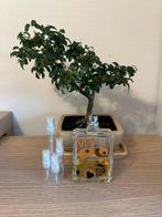 Escentric Molecules M+ Patchouli parfum sample/decant, Ophalen, Zo goed als nieuw