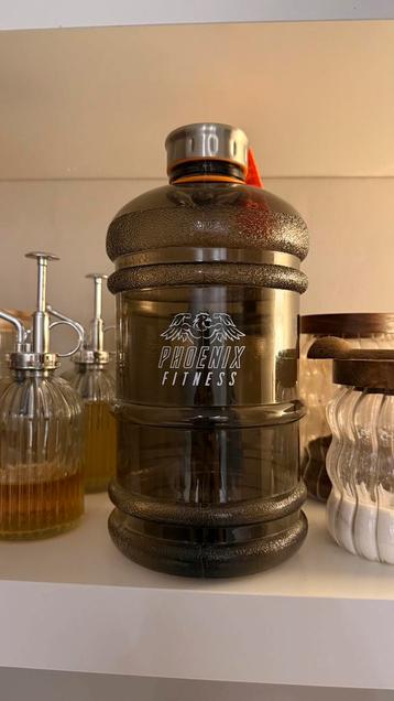 Drink fles Phoenix Fitness - Roestvrij staal Kunststof beschikbaar voor biedingen