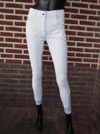 Montar Full Grip met stras steentjes Maat 38, Dressuur, Nieuw, Dames, Onderkleding