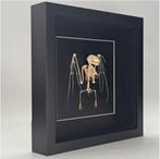 Vleermuis skelet in luxe lijst  25x25 vm, Ophalen of Verzenden, Nieuw, Overige soorten, Schedel