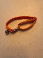 Ace Pets Kattenhalsband Oranje - Nieuw, Ophalen of Verzenden, Nieuw