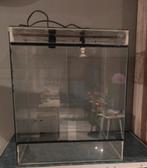 Terrarium 50x60x50 cm, Ophalen, Gebruikt, Terrarium of Paludarium
