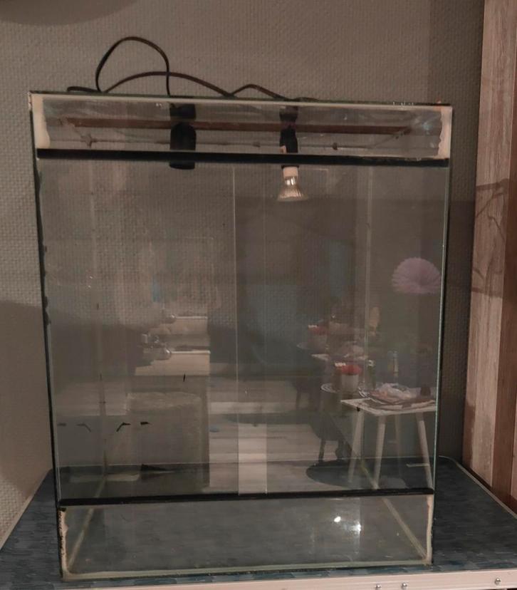 Terrarium 50x60x50 cm, Dieren en Toebehoren, Reptielen en Amfibieën | Toebehoren, Gebruikt, Terrarium of Paludarium, Ophalen