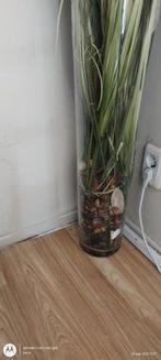 vazen met droog bloemen, Ophalen, Nieuw