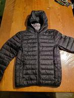 Zomerjas maat 146/152, America Today, Jongen of Meisje, Ophalen of Verzenden, Zo goed als nieuw