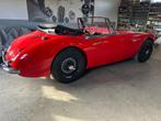 Austin Healey MK2A BJ7 Cabriolet, Auto's, Oldtimers, Overige merken, Cabriolet, Leder, Overige kleuren