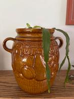 Grote Plantenpot / rumtoph diepe okergele kleur, 25 tot 40 cm, Gebruikt, Rond, Binnen