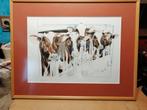 Koeien op stal, signeerd en genummerd, Antiek en Kunst, Ophalen of Verzenden