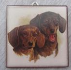 Tegeltje teckels (7,5 x 7,5 cm), Minder dan 50 cm, Overige typen, Ophalen of Verzenden, Zo goed als nieuw