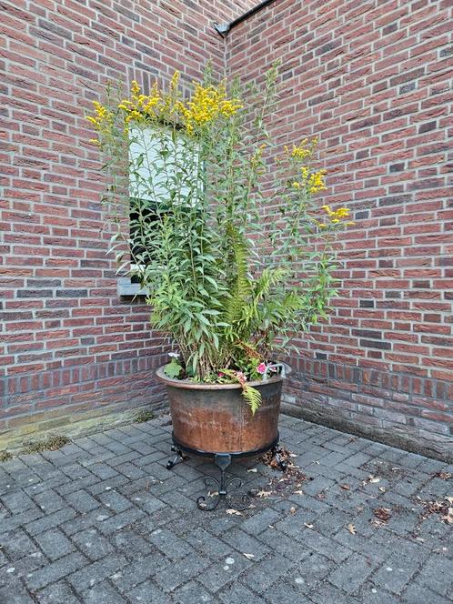Te koop koperen bloembak., Tuin en Terras, Bloembakken en Plantenbakken, Gebruikt, Minder dan 30 cm, Minder dan 60 cm, Rond, Ophalen