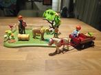 Playmobil Weide met Ponys, Kar & Accessoires, Ophalen of Verzenden, Gebruikt, Complete set