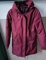 Airforce Jas - Bordeaux Rood - Maat S, Airforce, Nieuw, Ophalen of Verzenden, Maat 36 (S)