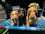 Hondenkussen ✅ hondenbed hondenmand hondenkussen bench dog, 5334LB, Nieuw, Ophalen of Verzenden, Industrial_dog_bed/ www.honden-brokkie.nl