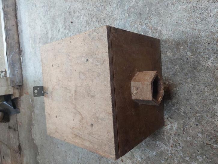 Broedblok geïsoleerd, Dieren en Toebehoren, Vogels | Duiven, Postduif, Mannelijk