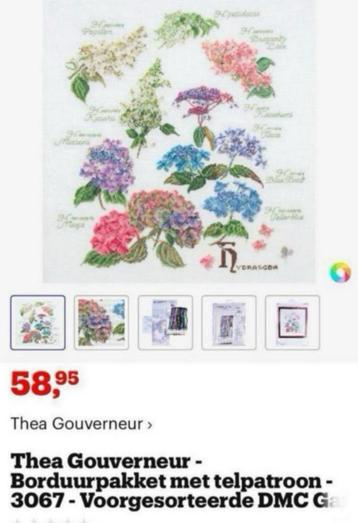 BORDUURPAKKET THEA GOUVERNEUR HYDRANGEA beschikbaar voor biedingen