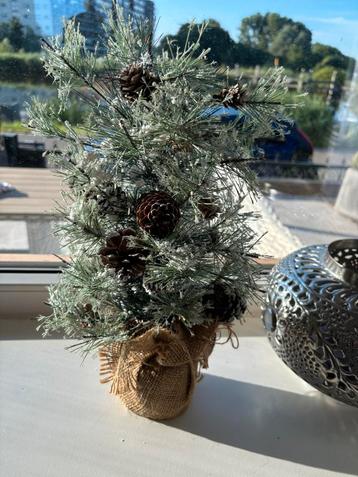 Gratis klein kerstboompje in goede staat beschikbaar voor biedingen