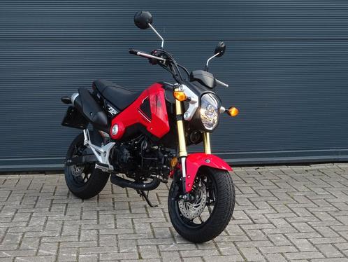HONDA MSX 125 2013 125cc motor A1 rood MSX125, Motoren, Motoren | Honda, Bedrijf, Naked bike, 11 kW of minder, Minimaal motorrijbewijs A1