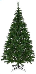 Gezocht, gratis kerstbomen, Diversen, Kerst, Ophalen