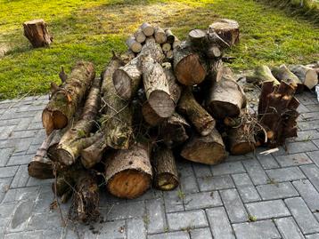 Stammen diverse soorten: wilg/eik/spar/berk beschikbaar voor biedingen