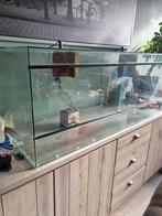 Terrarium 1.20 x 50, Dieren en Toebehoren, Reptielen en Amfibieën | Toebehoren, Ophalen, Gebruikt