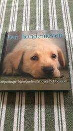 HONDENLEVEN, Boeken, Dieren en Huisdieren, Ophalen of Verzenden, Zo goed als nieuw, Honden