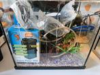 Compleet 30 liter aquarium, Dieren en Toebehoren, Vissen | Aquaria en Toebehoren, Ophalen, Gebruikt, Leeg aquarium