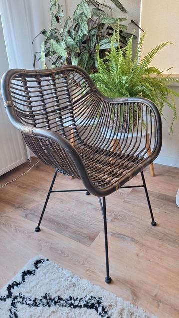 Rotan Eetkamerstoel Julan - Bruin beschikbaar voor biedingen