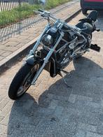 Harly Davidson V-rod 2004, 2 cilinders, Chopper, 1130 cc, Particulier