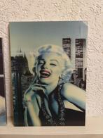 Marilyn Monroe 3d schilderijen, Huis en Inrichting, Ophalen of Verzenden, Zo goed als nieuw