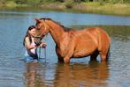 Prachtige Marie, Merrie, Recreatiepaard, 7 tot 10 jaar