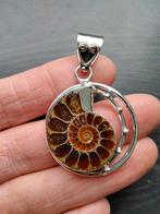 ammoniet kettinghanger, Verzenden, Nieuw, Bruin, Zilver