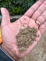 Gratis Sand, Tuin en Terras, Tegels en Klinkers, Klinkers, Ophalen of Verzenden, Zo goed als nieuw, 10 m² of meer