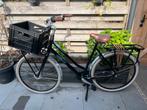 Gazelle Miss Grace (59cm) 3 versnellingen + 2 sleutels +krat, Versnellingen, Zo goed als nieuw, Gazelle, 56 cm of meer